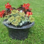 Granitno nagrobno cvetlično korito z rdečimi cvetovi in zelenjem.