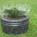 Granitno nagrobno cvetlično korito z okrasnimi sivimi in vijoličnimi rastlinami.